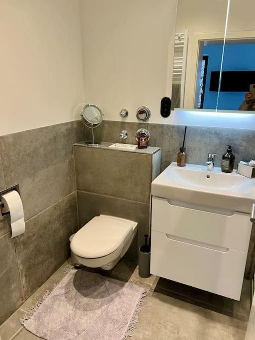 Appartement Heller Zweiraumtraum Im Zentrum Würzburg